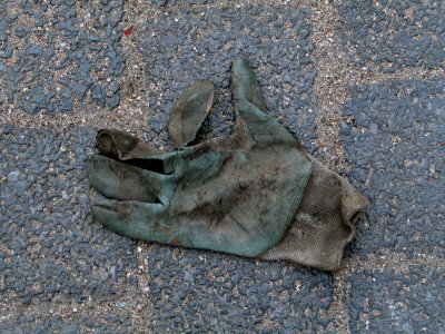 H009