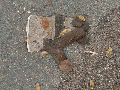 H055