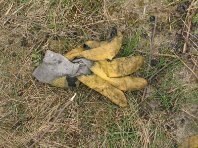H072