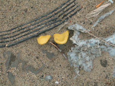 H084