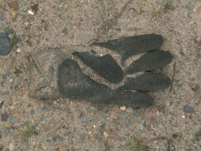 H104