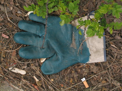 H106