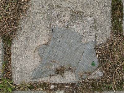 H113