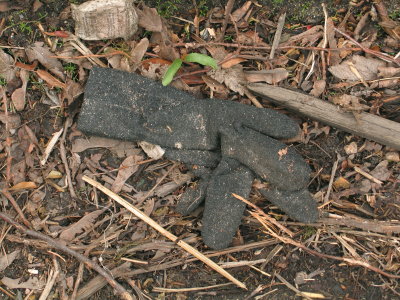 H115