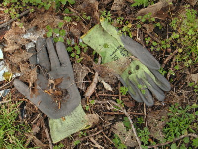 H119
