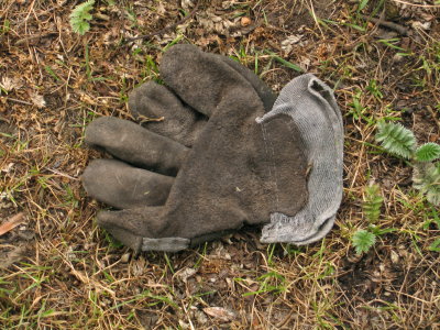 H1234