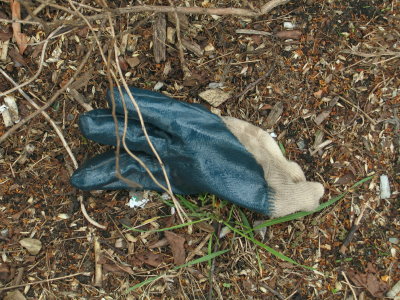 H133