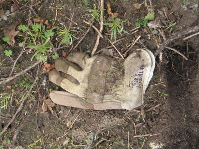 H141