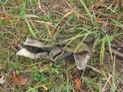 H143