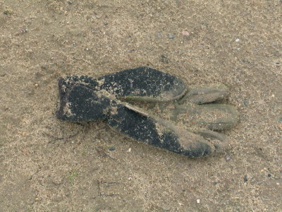 H146