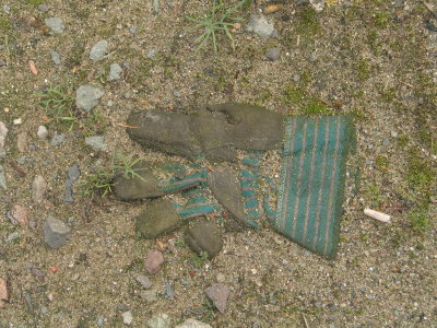 H147