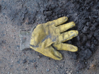 H155