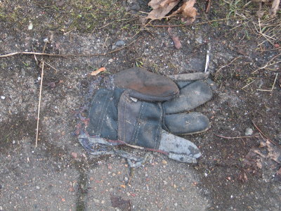 H161