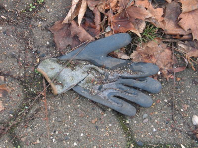 H162