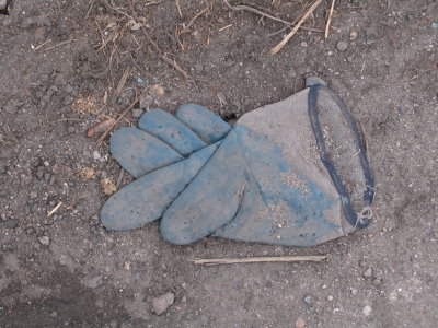 H194