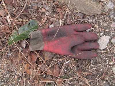 H197