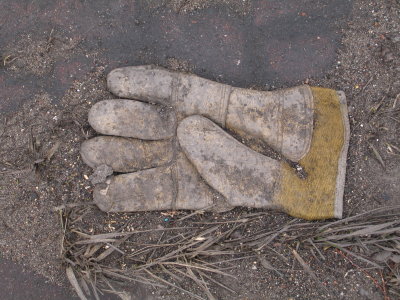 H219
