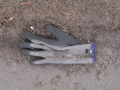 H224