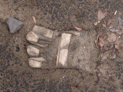 H279