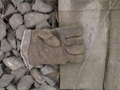 H319