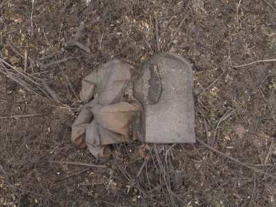 H321