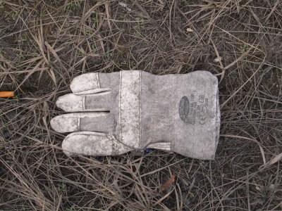 H329