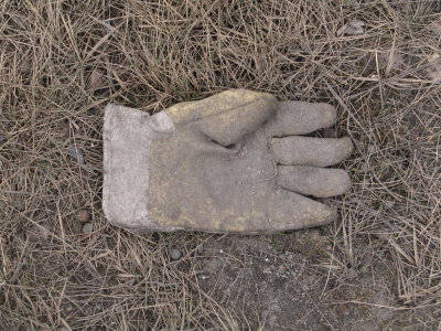 H331