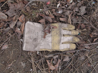 H351