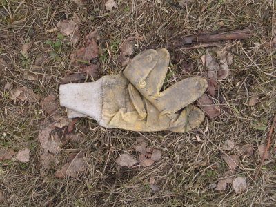 H364