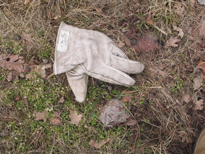 H366