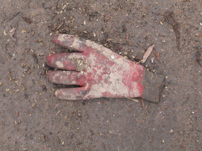 H368