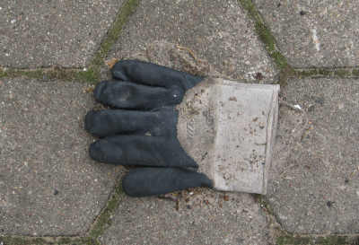 H373