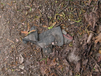 H379