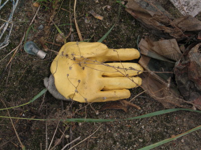 H410