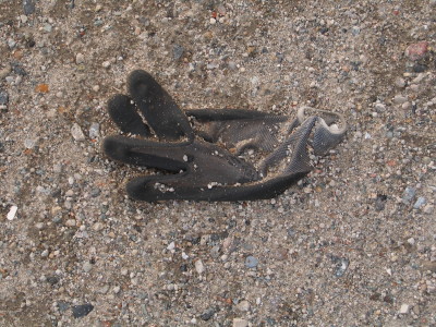 H418