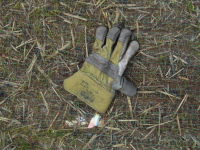 H428