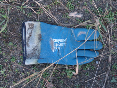 H436