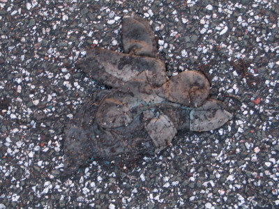 H443