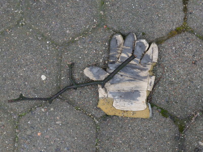 H526