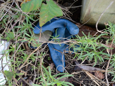 H557